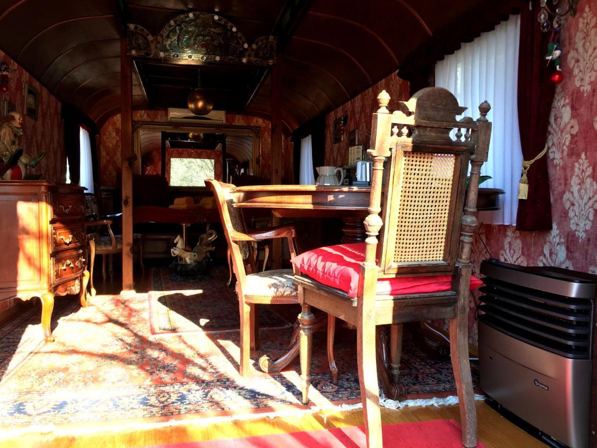 Historischer Zirkuswagen Mit Terrasse Und Blick Ins Gruene Witzenhausen Eksteriør bilde